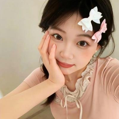 双子座计划